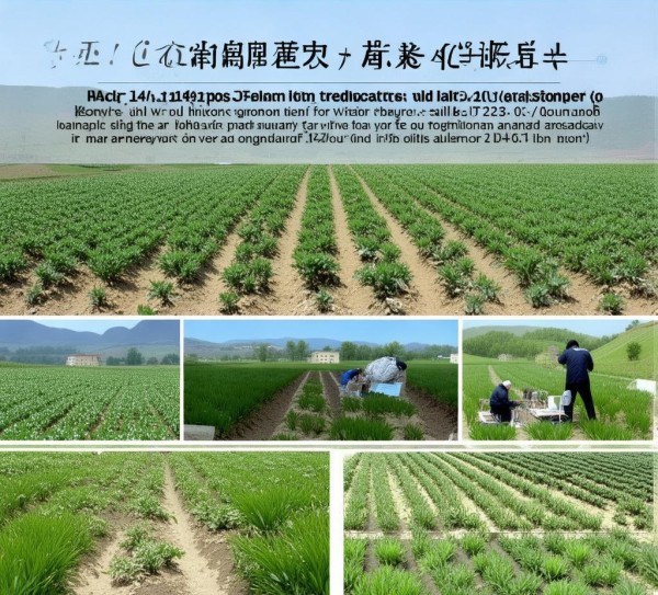 阴山丘陵区藜麦高产栽培技术规程DB15/T 2804-2022深度解析与应用,阴山丘陵区藜麦高产栽培技术规程DB15/T 2804-2022深度解析与应用,2022,食品安全,技术规程,第1张