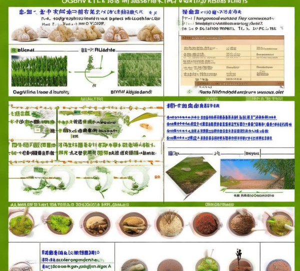 GB/T 10501-2016 多菌灵原药标准解析与实际应用指南,GB/T 10501-2016 多菌灵原药标准解析与实际应用指南,标准解读,2,创新,第1张