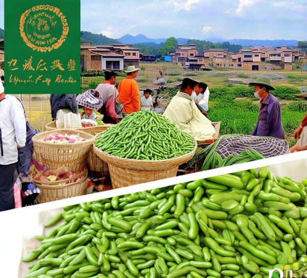 白城绿豆，地理标志产品标准解读与产业升级之旅,白城绿豆，地理标志产品标准解读与产业升级之旅,2,标准解读,创新,第1张