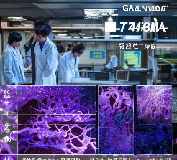 GB/T 21046-2007标准视角下条斑紫菜质量检测与产业升级研究,GB/T 21046-2007标准视角下条斑紫菜质量检测与产业升级研究,2,创新,消费者权益,第1张