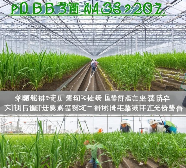 2023版DB23/T 3446-2023大棚大蒜套种番茄栽培技术规程解读,2023版DB23/T 3446-2023大棚大蒜套种番茄栽培技术规程解读,2,技术规程,2023,第1张