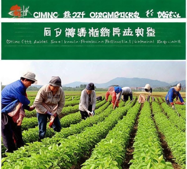 庆市有机甜荞麦生产技术规程应用解析与实施指导,庆市有机甜荞麦生产技术规程应用解析与实施指导,2,技术规程,食品安全,第1张